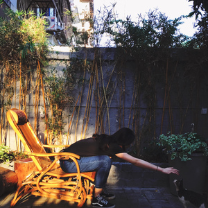 女人zozo与牛c交人
