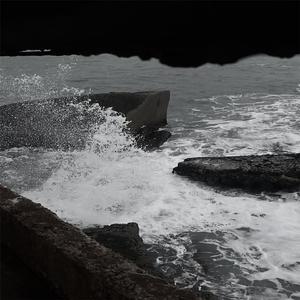 女人zozo与牛c交人
