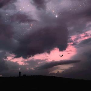 女人zozo与牛c交人
