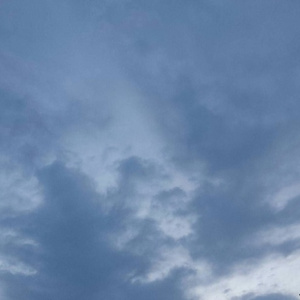 女人zozo与牛c交人
